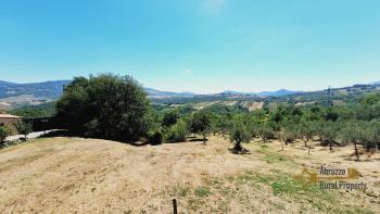 Spacious country house with panoramic terrace and 1500 sqm land in Roccaspinalveti. Img23