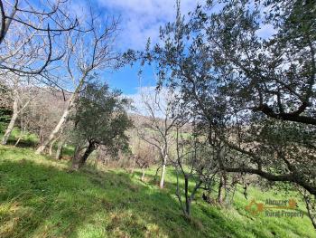 Detached country house in need of restoration with 10.000 sqm of land. Palmoli Img18