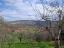 Detached country house in need of restoration with 10.000 sqm of land. Palmoli - preview 20