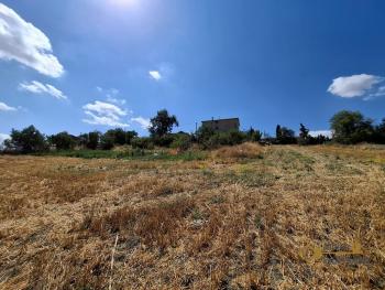 Spacious country house surrounded by 3000 sqm of land. Atessa Img27