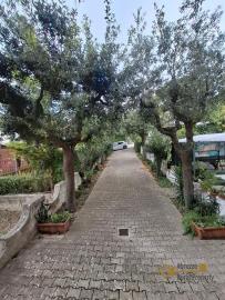 Three-bedroom town house with garden, garage and self-contained flat. Celenza Sul Trigno Img27