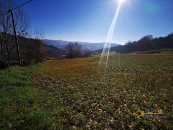 Three-bedroom country house with woodland, in a panoramic location. Fossalto Img34