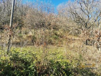 Three-bedroom country house with woodland, in a panoramic location. Fossalto Img28