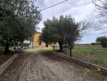 Large, panoramic country house with 13.400 sqm of land between Sea and Mountains. Arielli Img2