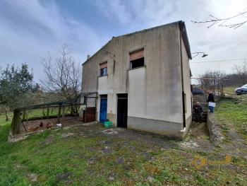 Nice country house in need of restoration, land with olive grove and fruit trees. Trivento Img11