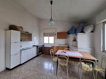 Nice country house in need of restoration, land with olive grove and fruit trees. Trivento Img4