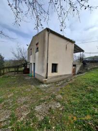 Nice country house in need of restoration, land with olive grove and fruit trees. Trivento Img14