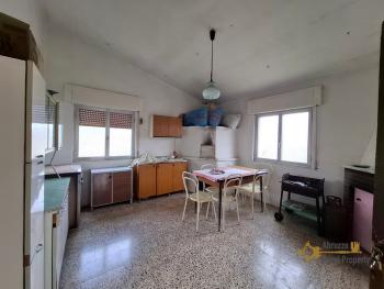 Nice country house in need of restoration, land with olive grove and fruit trees. Trivento Img3