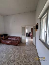 Nice country house in need of restoration, land with olive grove and fruit trees. Trivento Img9