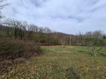 Nice country house in need of restoration, land with olive grove and fruit trees. Trivento Img17