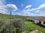 Cosy three-bedroom country house with 6.700 sqm of land, olive grove, two cellars and garage. Fossalto. - preview 21
