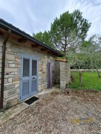 Exclusive, Move-in Ready Country Villa with Pool, Guesthouses and 7.050 sqm of land in the beautiful countryside of Castelverrino Img90