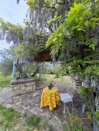 Exclusive, Move-in Ready Country Villa with Pool, Guesthouses and 7.050 sqm of land in the beautiful countryside of Castelverrino Img107