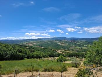 Stunning, fully restored country retreat with 7 hectares of land with olive grove, woodland and breathtaking views Img30