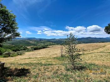 Stunning, fully restored country retreat with 7 hectares of land with olive grove, woodland and breathtaking views Img44