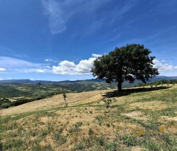 Stunning, fully restored country retreat with 7 hectares of land with olive grove, woodland and breathtaking views Img43