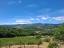 Stunning, fully restored country retreat with 7 hectares of land with olive grove, woodland and breathtaking views - preview 30