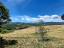 Stunning, fully restored country retreat with 7 hectares of land with olive grove, woodland and breathtaking views - preview 44