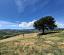 Stunning, fully restored country retreat with 7 hectares of land with olive grove, woodland and breathtaking views - preview 43