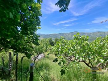 Beautiful, detached town house with 4 bedrooms, large cellar, garage and 655 sqm of land. Guardiabruna. Img36