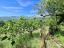 Beautiful, detached town house with 4 bedrooms, large cellar, garage and 655 sqm of land. Guardiabruna. - preview 35