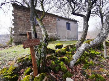 Traditional stone country house in a private woodland setting with 13,000 sqm of land. Castiglione Messer Marino Img3