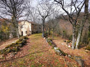 Traditional stone country house in a private woodland setting with 13,000 sqm of land. Castiglione Messer Marino Img23