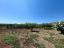 Beautiful four-bedroom detached house in perfect condition, set within private land planted with fruit trees. Located in the peaceful countryside of Ortona. - preview 41