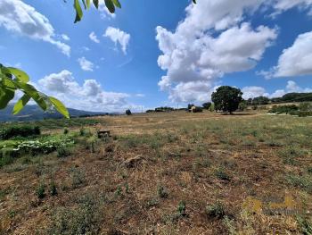 Beautiful six-bedroom villa with garden, large garage, two cellars and 13.500 sqm of land. Trivento Img69