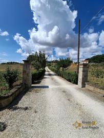 Beautiful six-bedroom villa with garden, large garage, two cellars and 13.500 sqm of land. Trivento Img74
