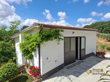 Beautiful six-bedroom villa with garden, large garage, two cellars and 13.500 sqm of land. Trivento Img56