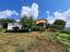 Beautiful six-bedroom villa with garden, large garage, two cellars and 13.500 sqm of land. Trivento - preview 65