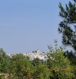 Stunning four-bedroom villa with 1000 sqm of fenced garden, terraces, garage and independent guest unit. Gissi Img24
