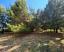 Stunning four-bedroom villa with 1000 sqm of fenced garden, terraces, garage and independent guest unit. Gissi - preview 77