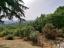 Spacious Three-Bedroom Villa with 11,820 sqm of Land and Panoramic Views. Pietrabbondante - preview 59