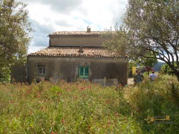 Casolare di campagna con uliveto in vendita a San Buono. Img2
