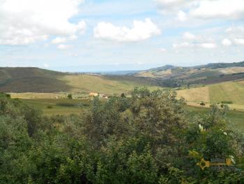 Casolare di campagna con uliveto in vendita a San Buono. Img4