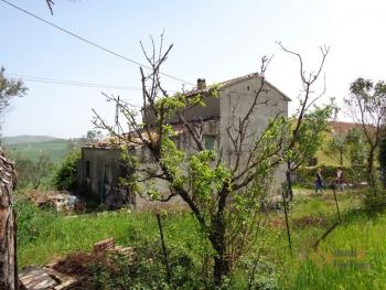 Casolare di campagna con uliveto in vendita a San Buono. Img23