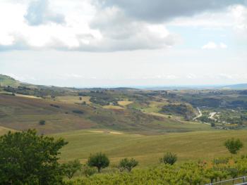 Casolare di campagna con uliveto in vendita a San Buono. Img6