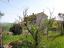 Casolare di campagna con uliveto in vendita a San Buono. - preview 23