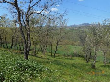 Villa surrounded by 1 hectare of land. Bagnoli del Trigno. Img6