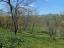 Villa surrounded by 1 hectare of land. Bagnoli del Trigno. - preview 6