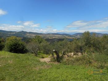 Country house with garden for sale in Roccaspinalveti. Img2