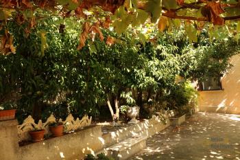 Historic palazzo at 30 meters from the sea. Fossacesia. Img49