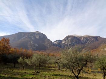 Country house with fenced garden and olive grove, Palombaro. Img6