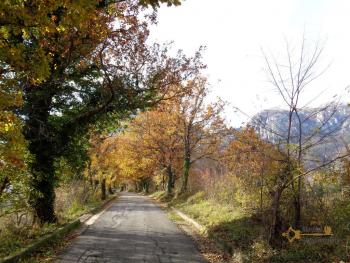 Country house with fenced garden and olive grove, Palombaro. Img9