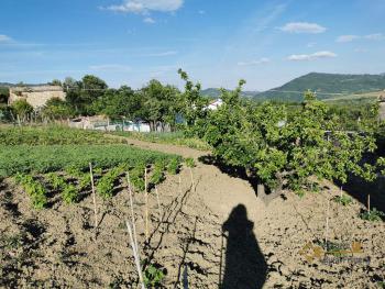 Stone house with large barn and 1700 sqm of land. Abruzzo. Img9