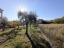 Detached country villa with terrace and 2000 sqm of garden. - preview 49