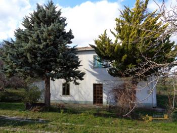 Rural property with garden for sale. Roccaspinalveti, Abruzzo. Img24